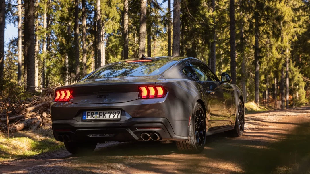 Ford Mustang GT (2024) in Grau von hinten im Wald mieten.