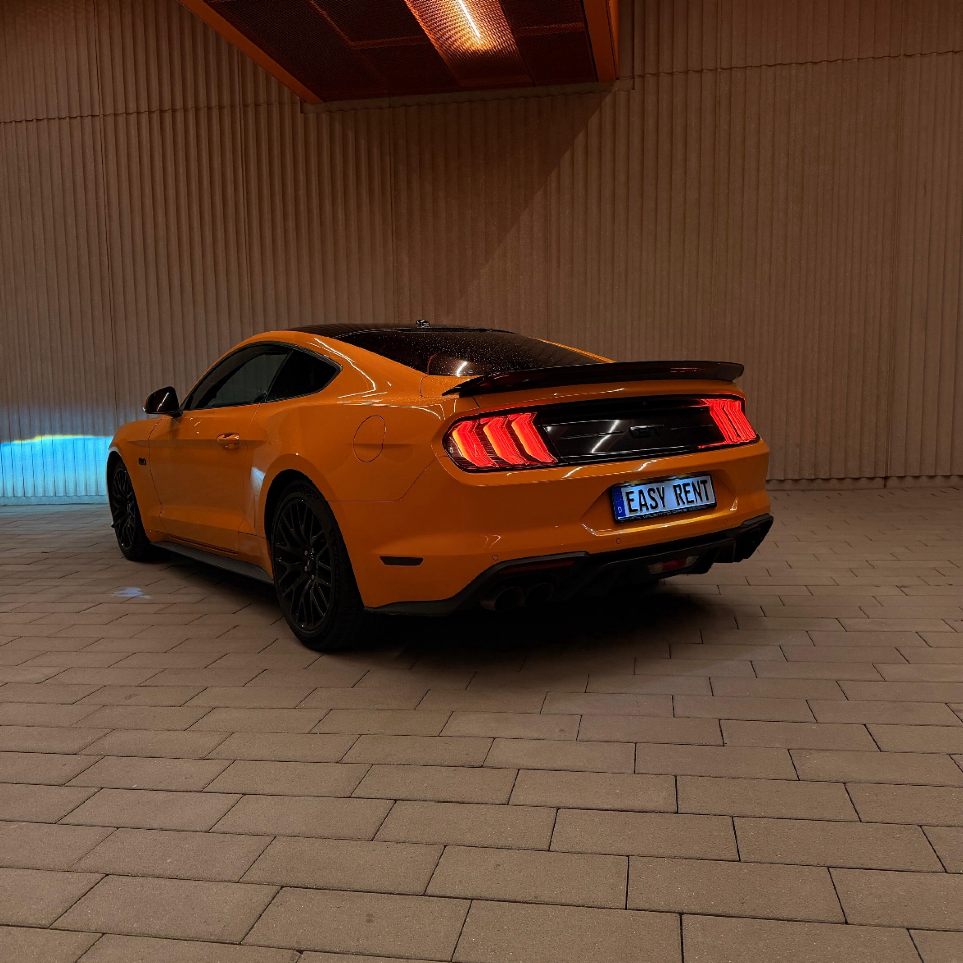 2018 Ford null Seitenansicht links - Mieten in Köln