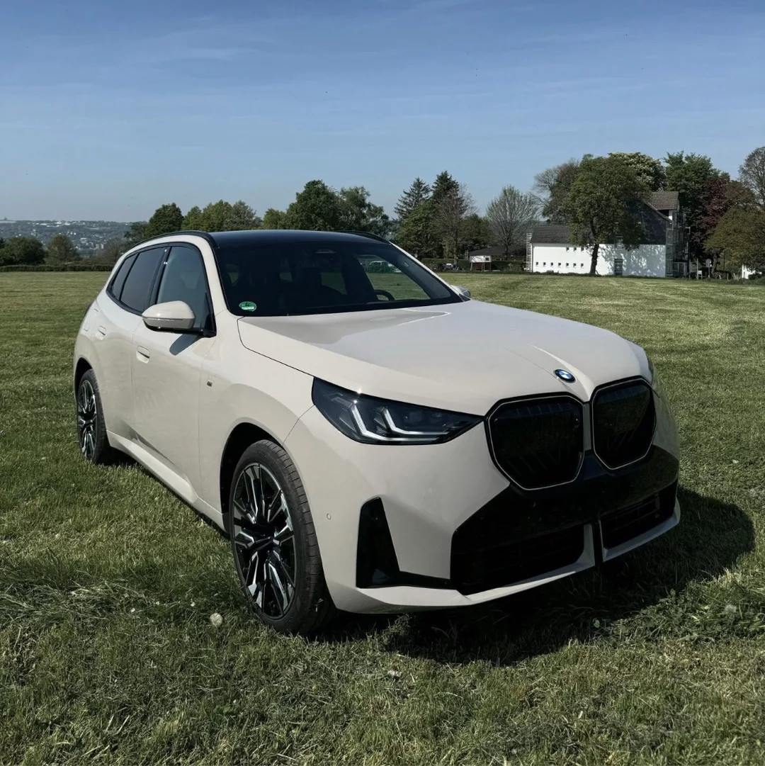 BMW X3 in Dune Grey auf Wiese mieten.