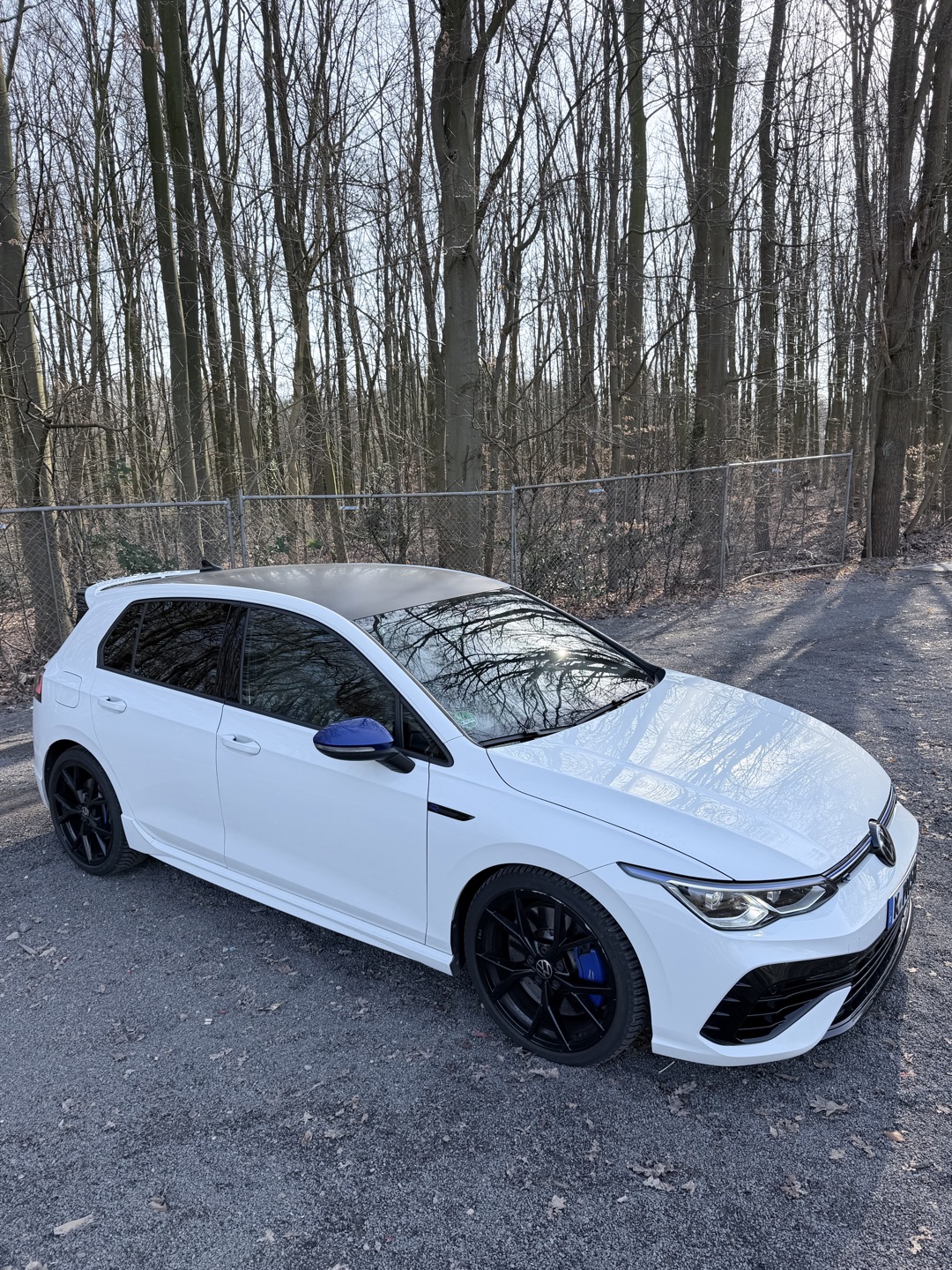 Golf 8R Performance 20 Years Edition 333 PS