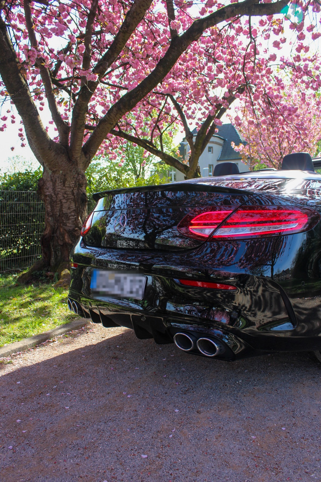 2022 Mercedes null Detail - Mieten in Essen