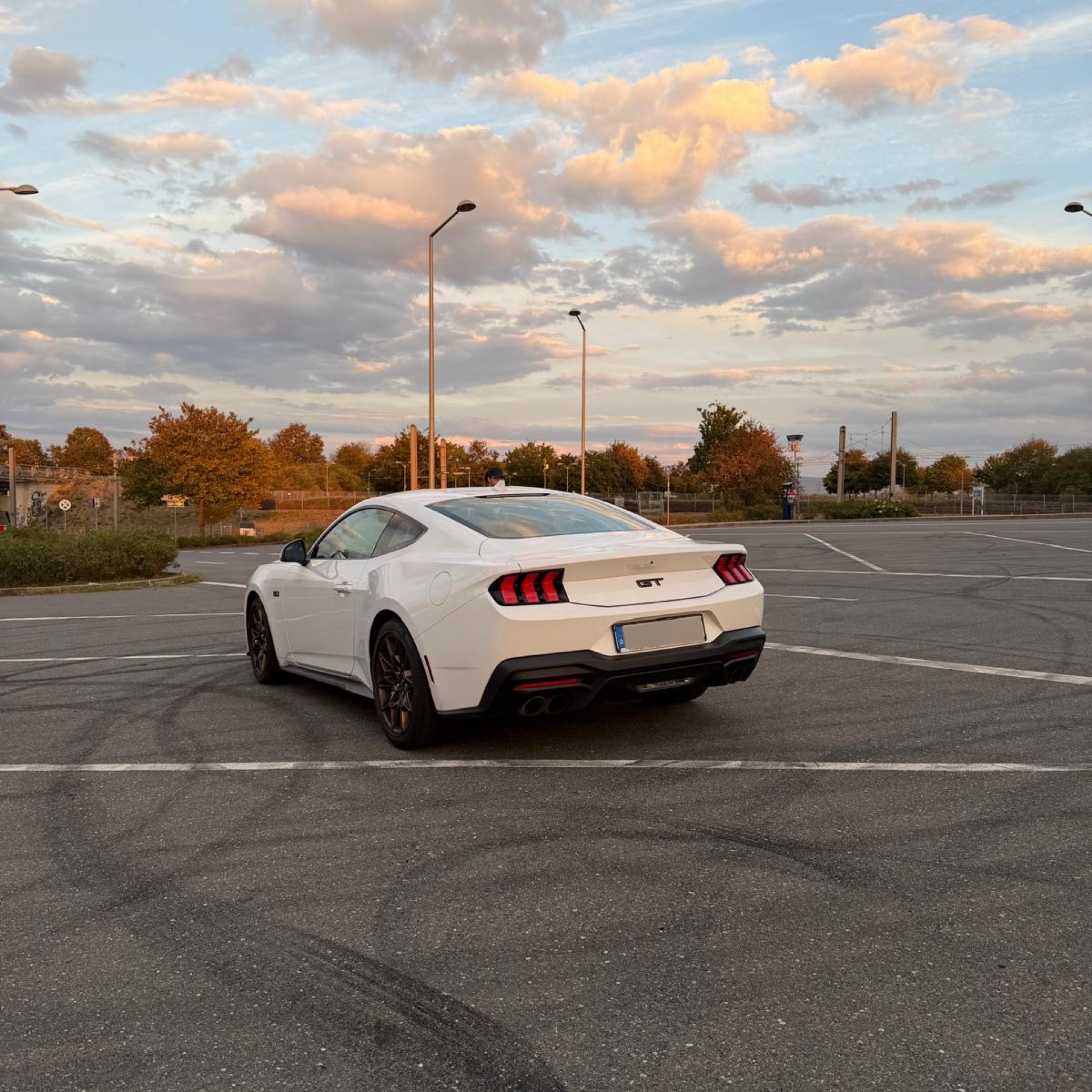 2025 Ford null Rückansicht - Mieten in Mannheim