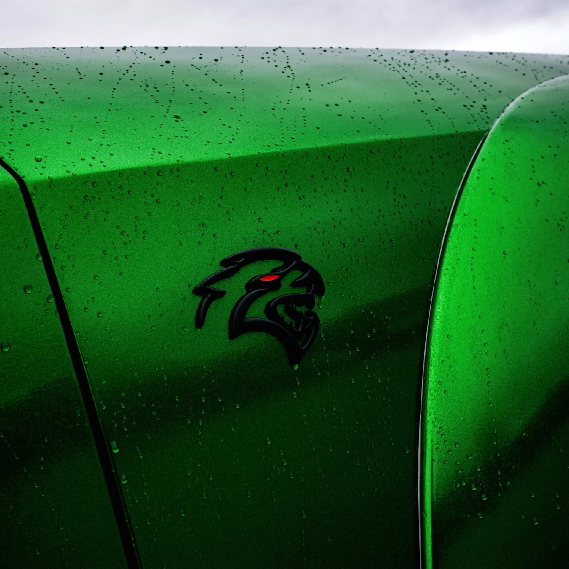 Dodge Challenger SRT Hellcat Kit in Grün mit Detailansicht des Logos mieten