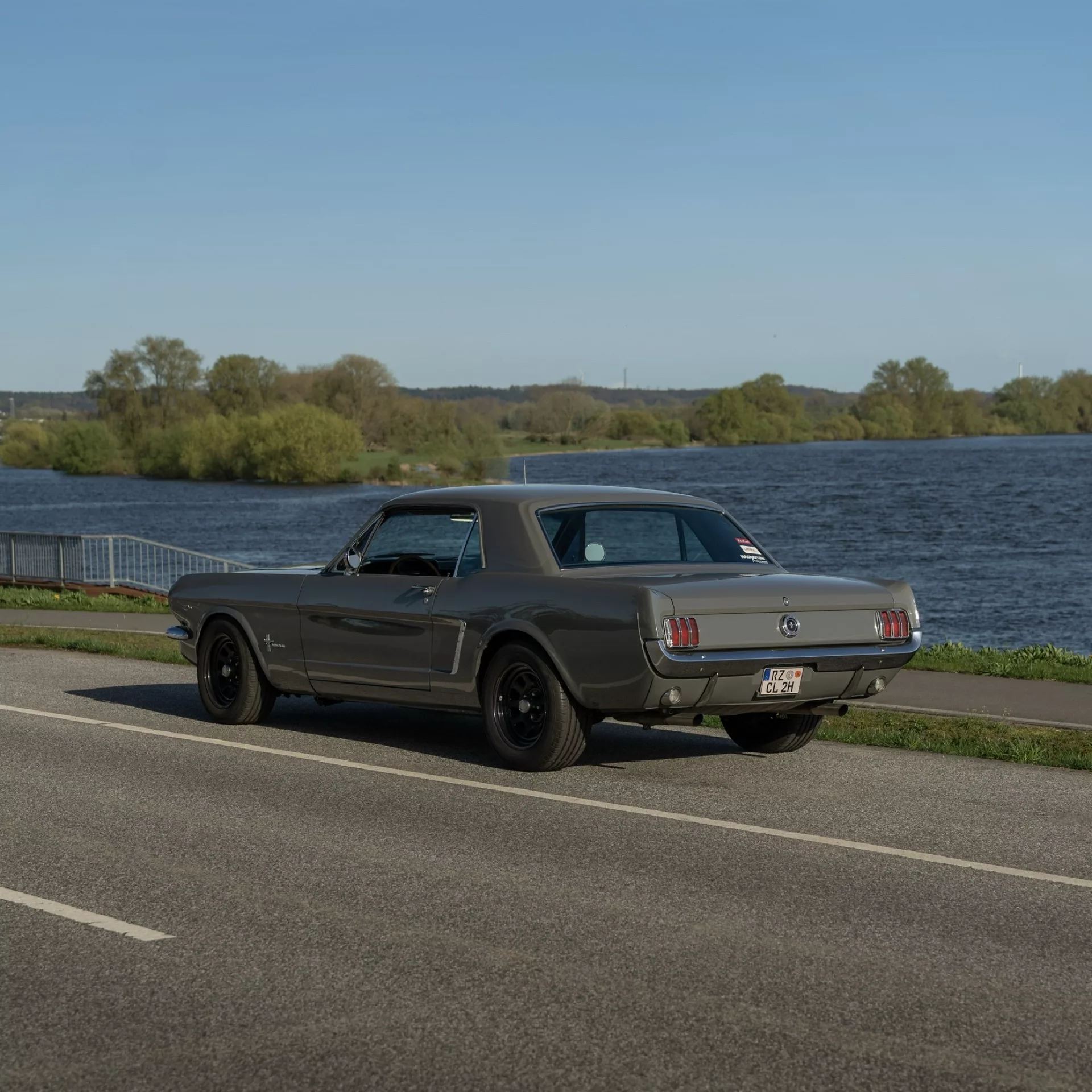 Ford Mustang 1965 in Grau von hinten auf der Straße mieten.