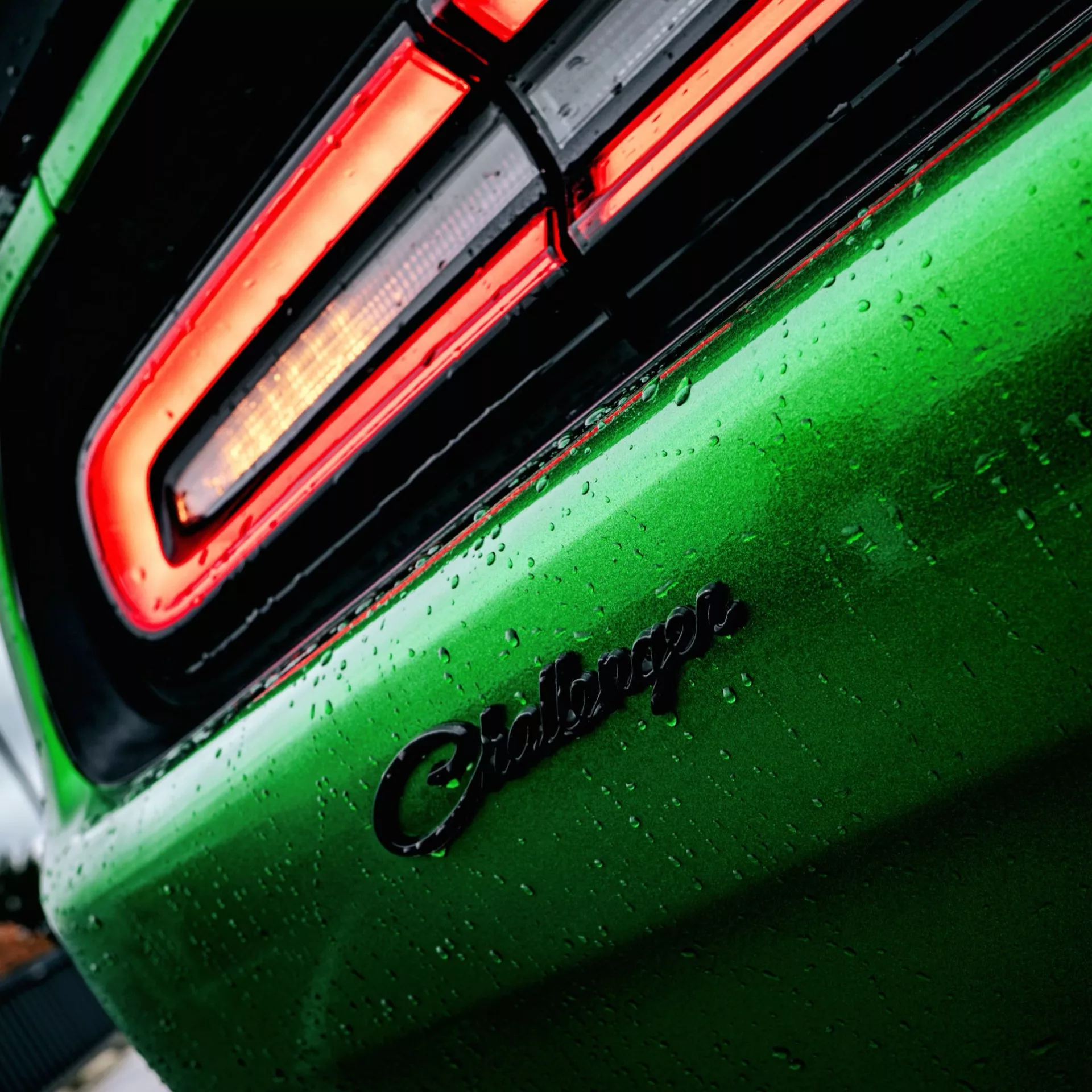 Dodge Challenger SRT Hellcat Kit in Grün, Heckansicht bei Regen mieten.