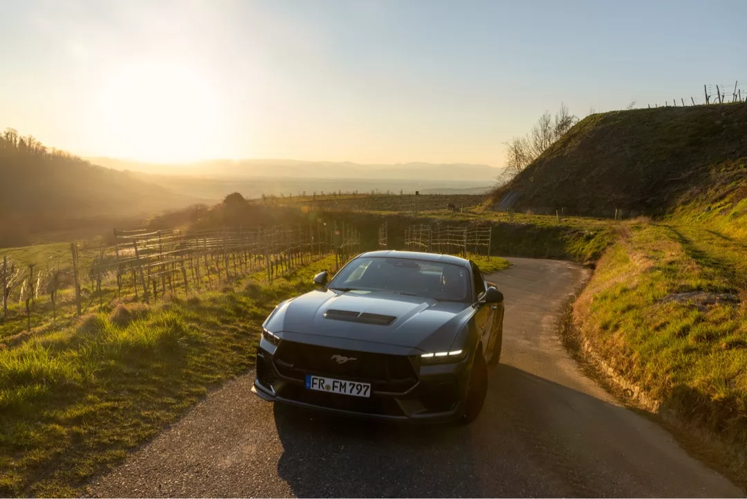 Ford Mustang GT (2024) in Schwarz mieten - in ländlicher Umgebung bei Sonnenuntergang