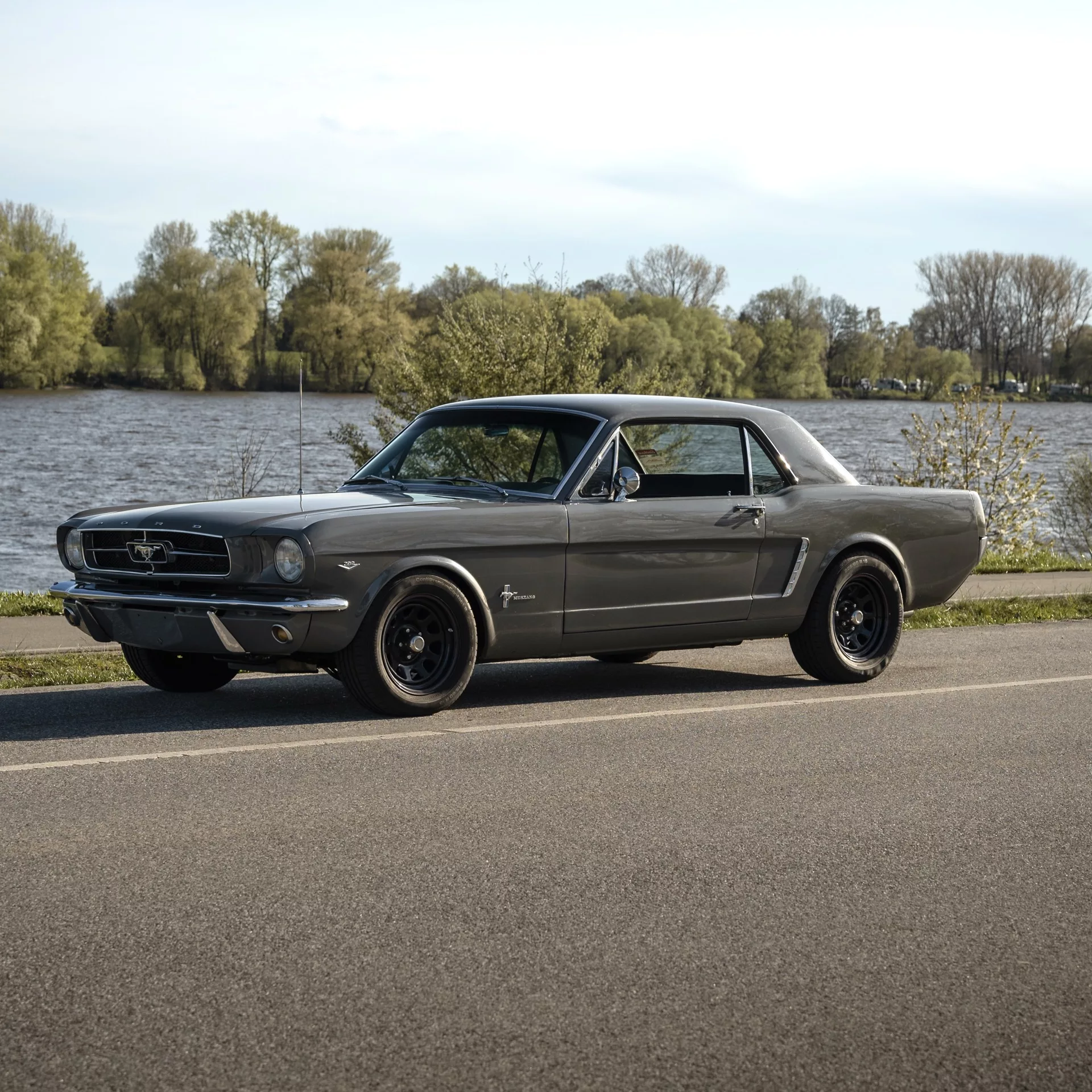 Ford Mustang 1965 in Grau mieten - Seitenansicht am Seeufer.