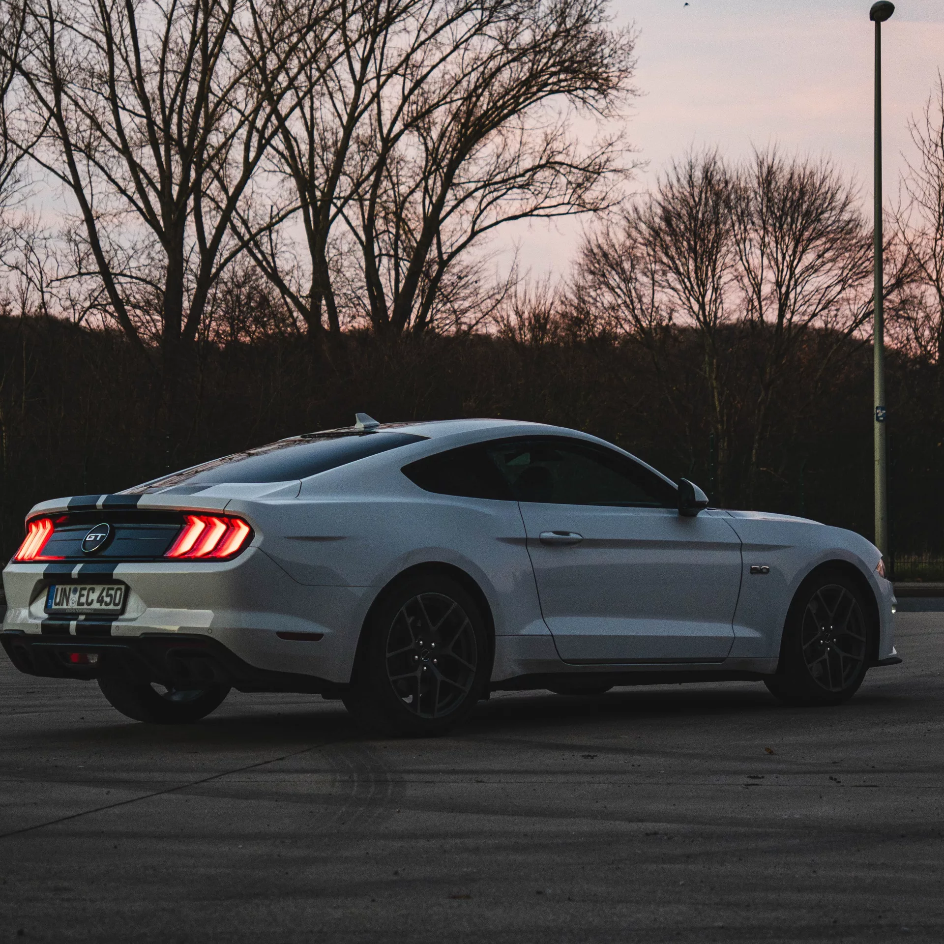 Ford Mustang GT 5.0 V8 in Weiß von hinten mieten