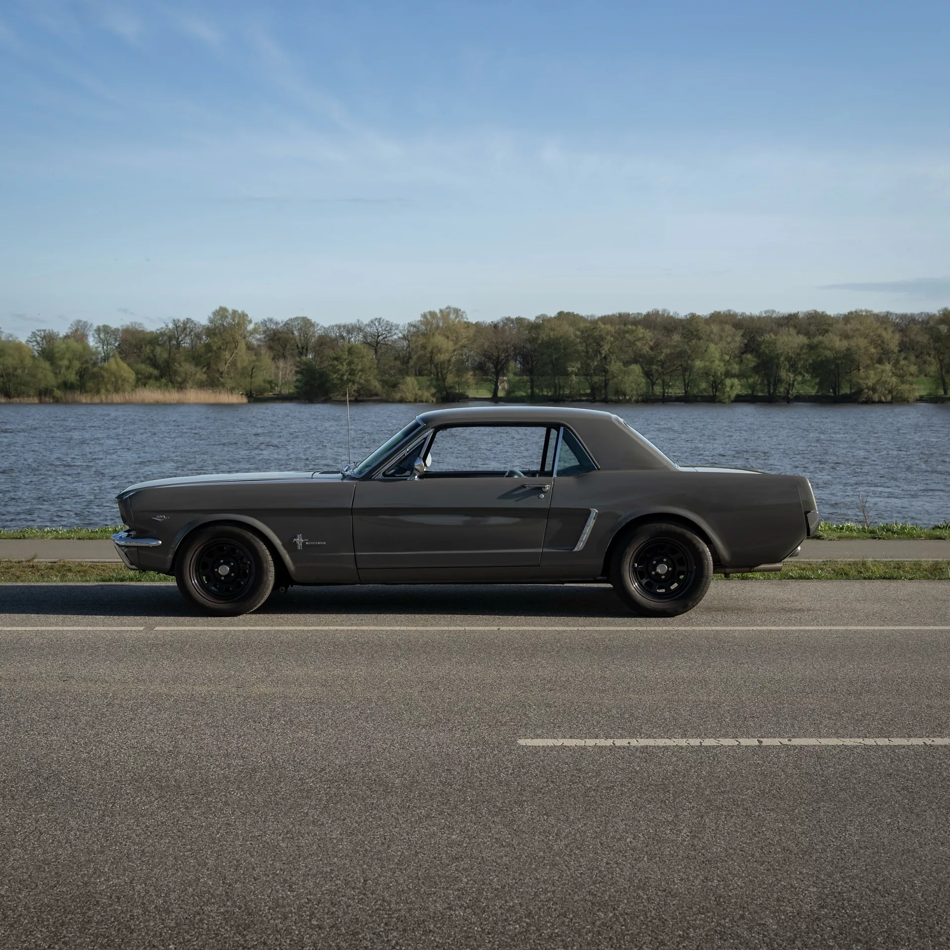 Ford Mustang 1965 in Grau von der Seite mieten