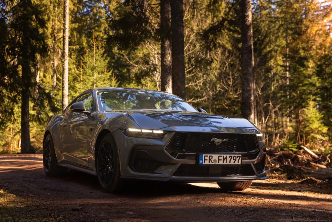 Ford Mustang GT (2024) in Grau im Wald mieten.