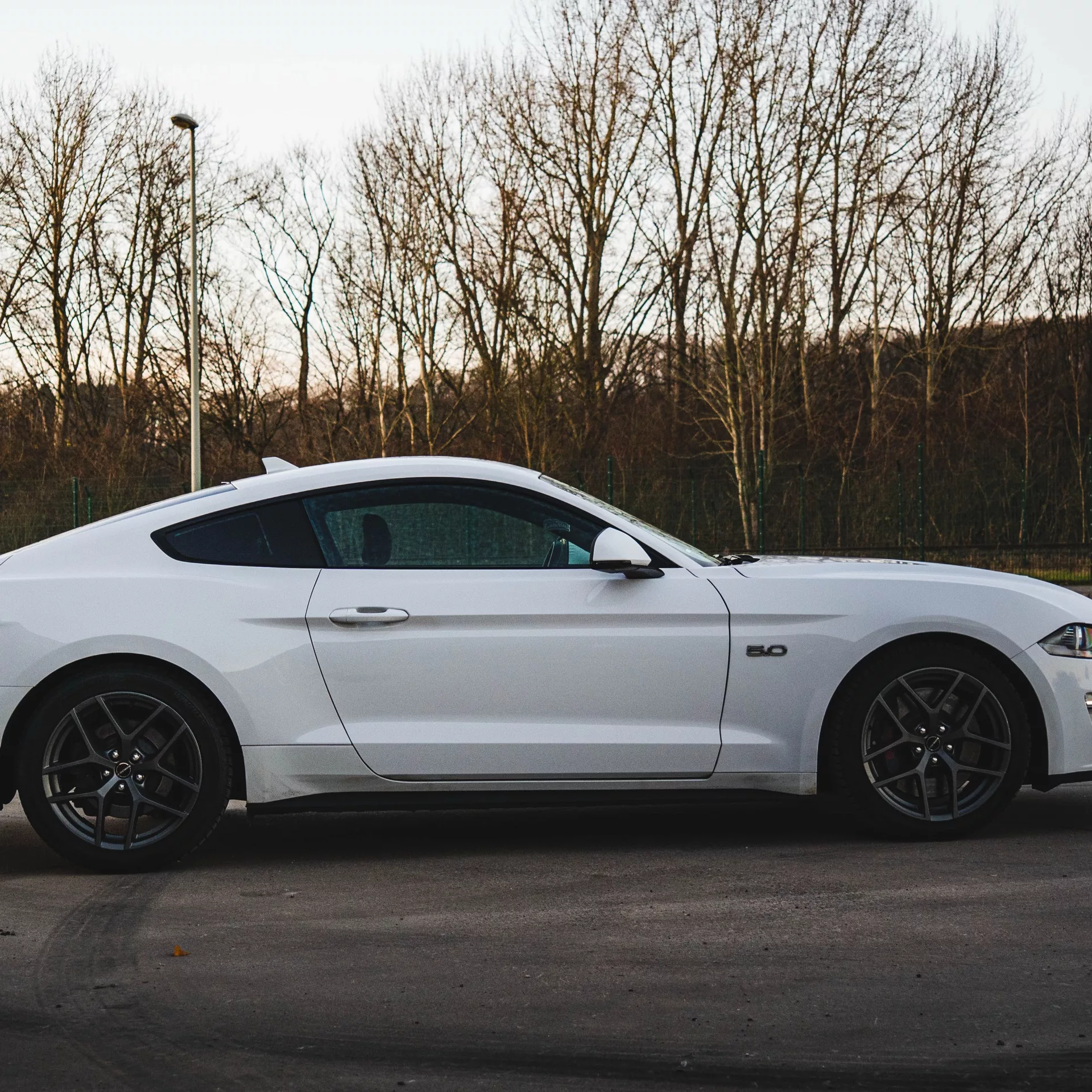 Ford Mustang GT 5.0 V8 in Weiß von der Seite mieten.