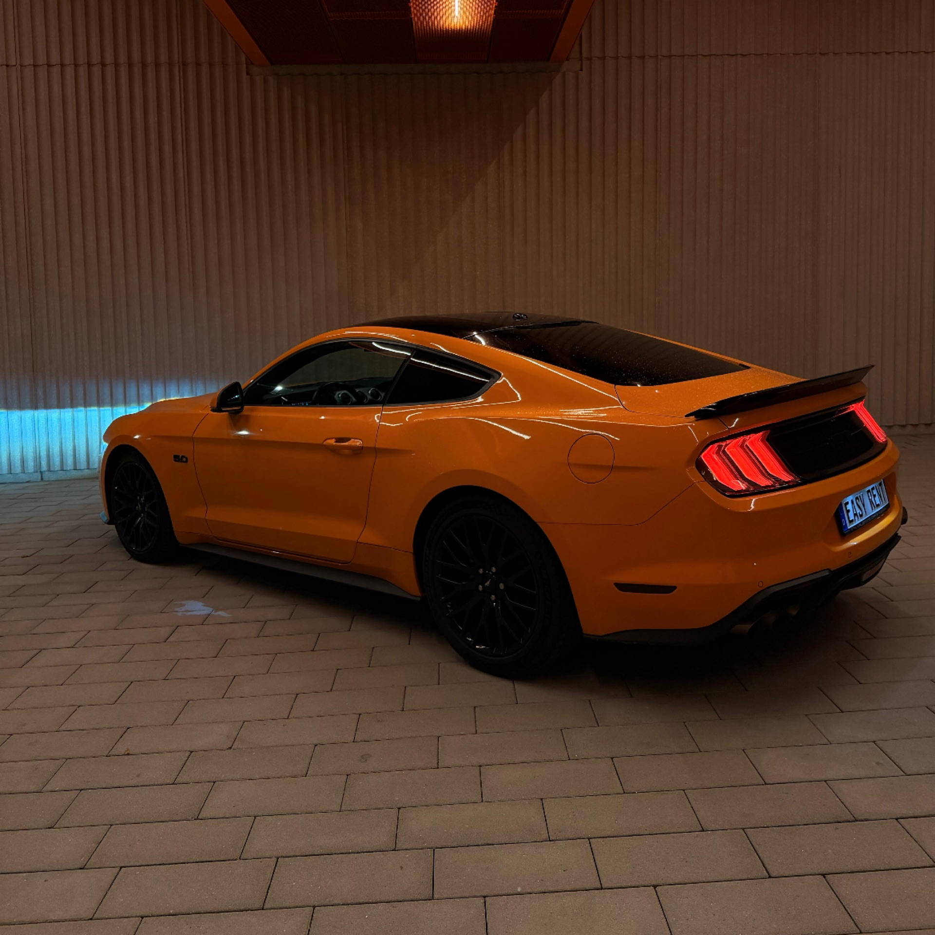 2018 Ford null Rückansicht - Mieten in Köln